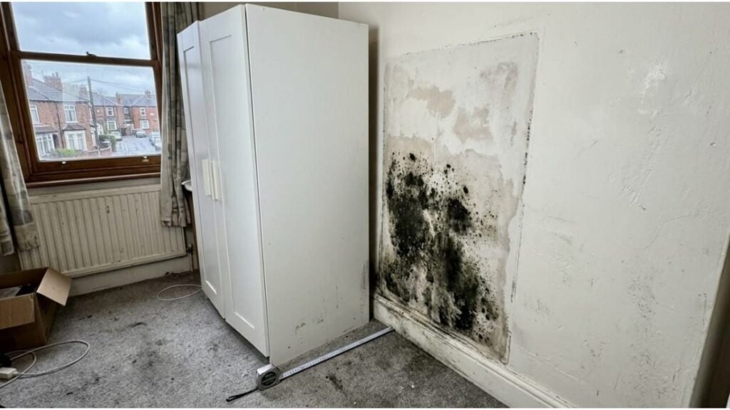 Black mould and moisture damage behind a wardrobe in a small rental bedroom.