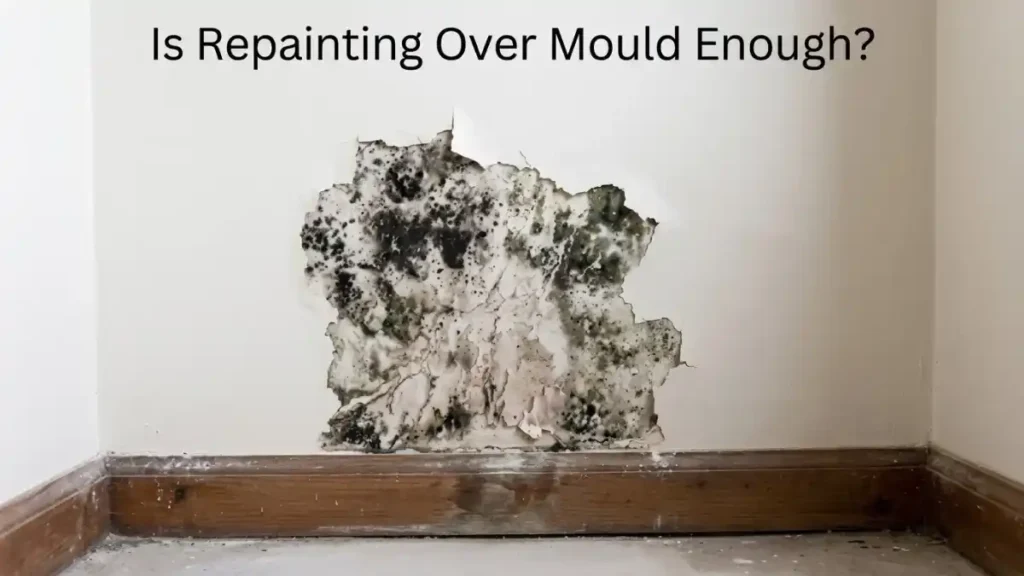 Black mould growing underneath peeling paint on a bedroom wall