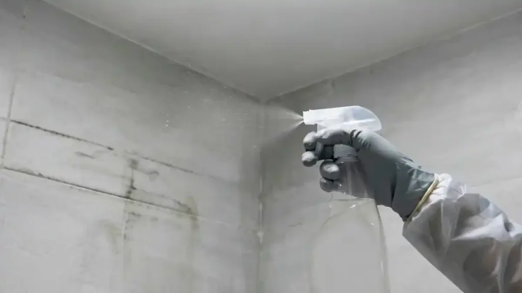 A gloved hand spraying mould cleaner onto a damp wall corner